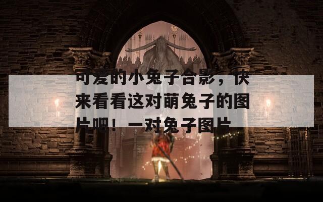 可爱的小兔子合影，快来看看这对萌兔子的图片吧！一对兔子图片